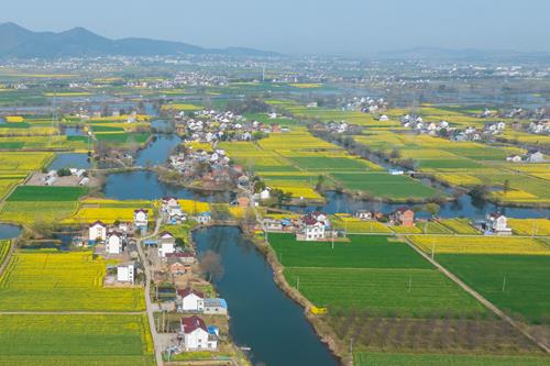 安徽當涂：和美鄉村入畫來