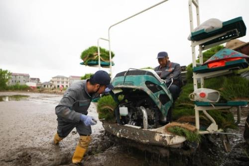 ?護(hù)航大國糧安 濰柴雷沃把黨建的力量延伸至田野“最后一公里”