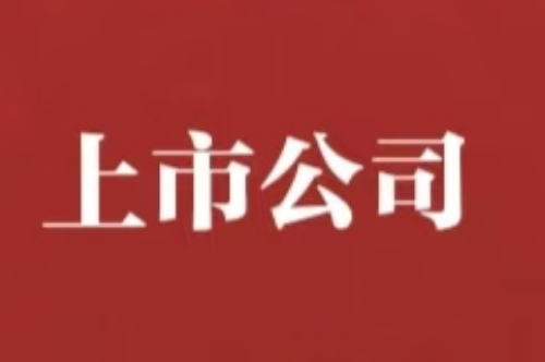 推進教醫養康旅一體化高質量發展，東軟教育擬更名為東軟睿新科技集團