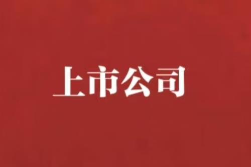 聞泰科技：地緣政治變局中，民營高科技轉型的陣痛與突破